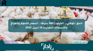 الحق دلوقتي.. الكيلو بـ 380 جنيهًا.. أسعار اللحوم والفراخ والأسماك النهارده 14 أبريل 2025